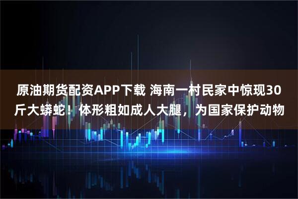 原油期货配资APP下载 海南一村民家中惊现30斤大蟒蛇！体形粗如成人大腿，为国家保护动物