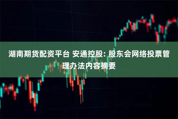 湖南期货配资平台 安通控股: 股东会网络投票管理办法内容摘要