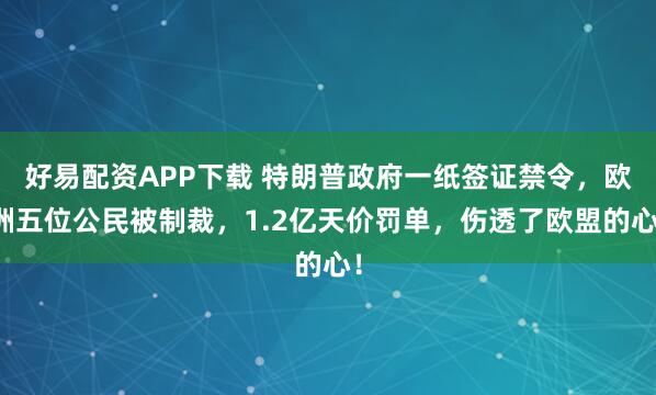 好易配资APP下载 特朗普政府一纸签证禁令，欧洲五位公民被制裁，1.2亿天价罚单，伤透了欧盟的心！