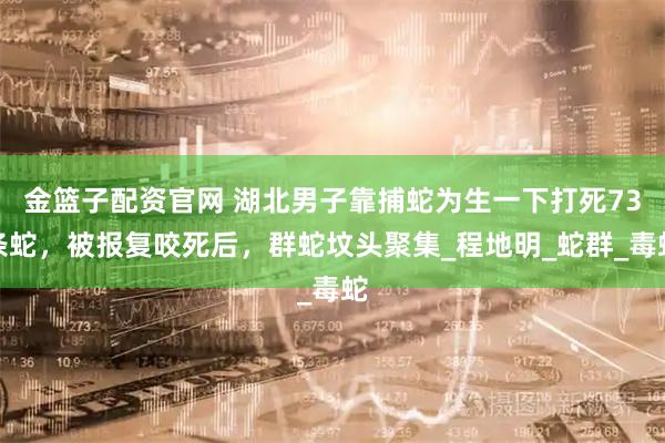 金篮子配资官网 湖北男子靠捕蛇为生一下打死73条蛇，被报复咬死后，群蛇坟头聚集_程地明_蛇群_毒蛇