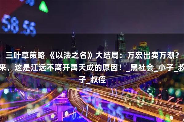 三叶草策略 《以法之名》大结局：万宏出卖万潮？原来，这是江远不离开禹天成的原因！_黑社会_小子_叔侄