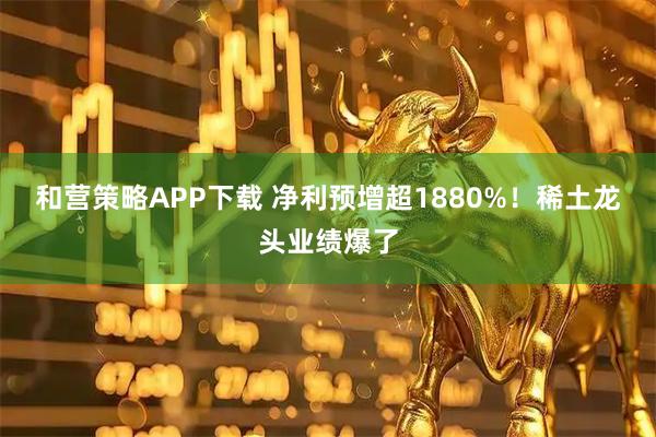 和营策略APP下载 净利预增超1880%！稀土龙头业绩爆了