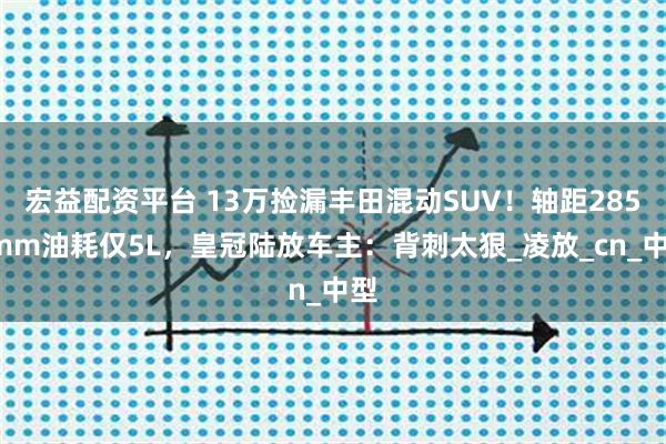 宏益配资平台 13万捡漏丰田混动SUV！轴距2850mm油耗仅5L，皇冠陆放车主：背刺太狠_凌放_cn_中型
