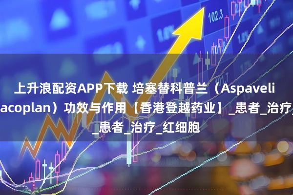 上升浪配资APP下载 培塞替科普兰（Aspaveli Pegcetacoplan）功效与作用【香港登越药业】_患者_治疗_红细胞