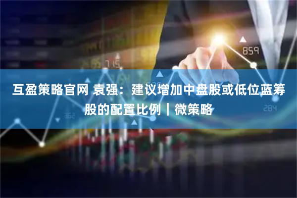 互盈策略官网 袁强:建议增加中盘股或低位蓝筹股的配置比例|微策略